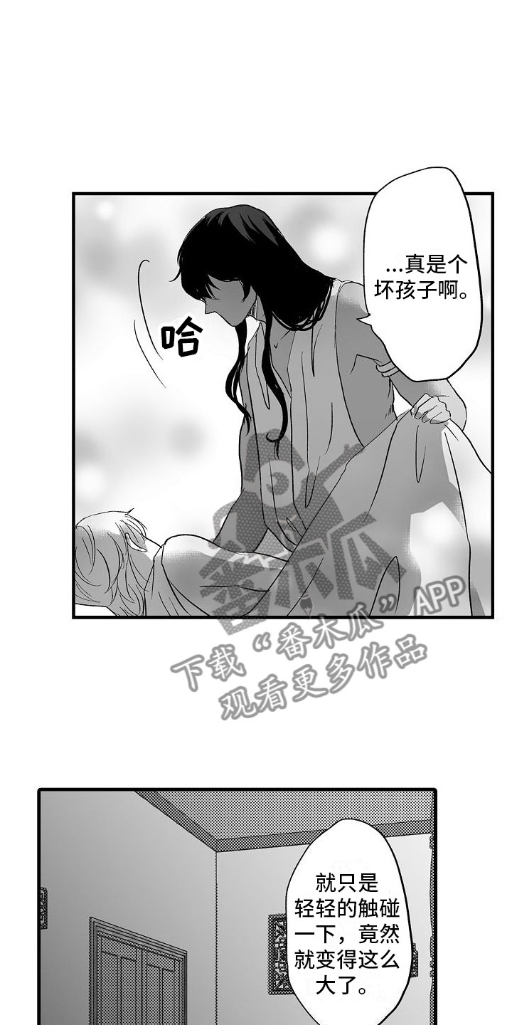 第19章：夜晚14