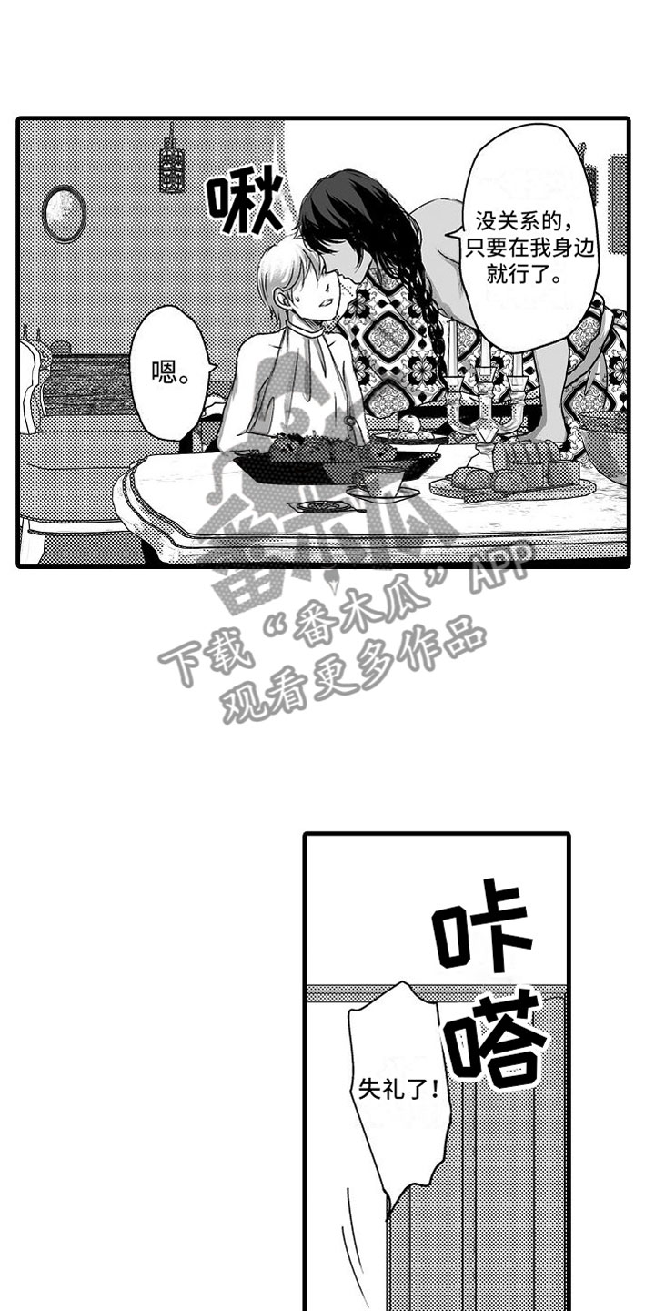 第15章：他国王子7