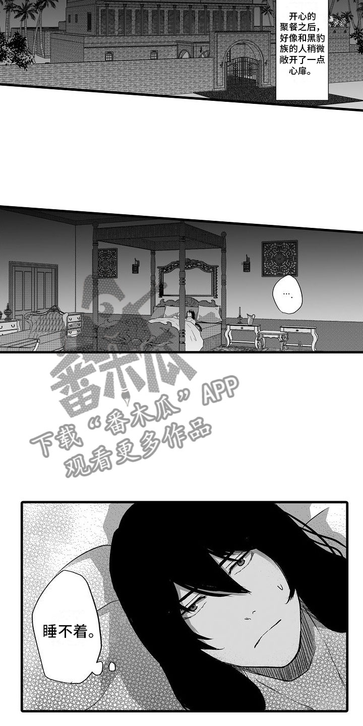 第19章：夜晚7