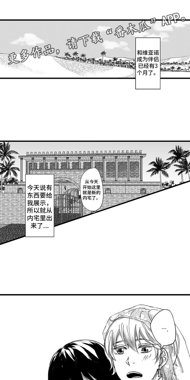 第12章：惊喜0