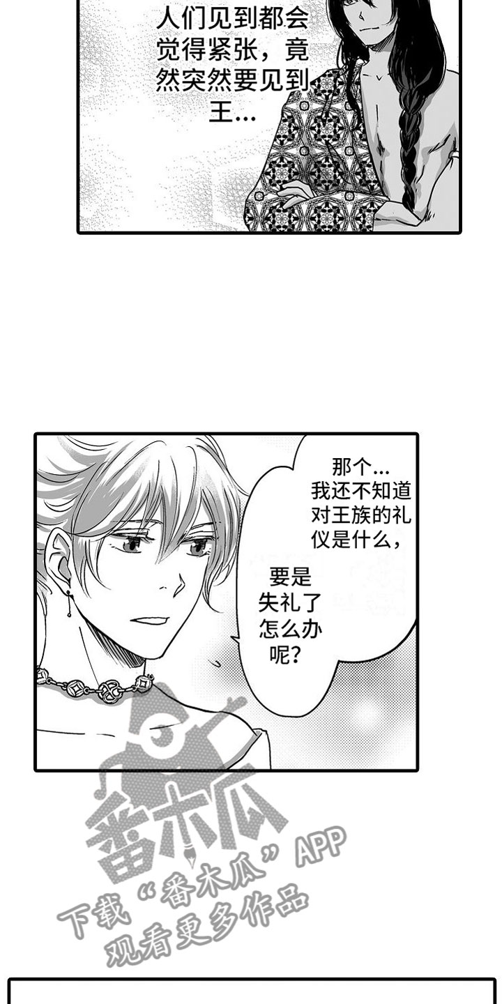第15章：他国王子12