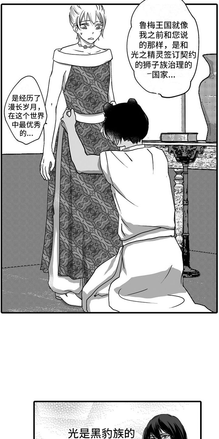 第15章：他国王子11