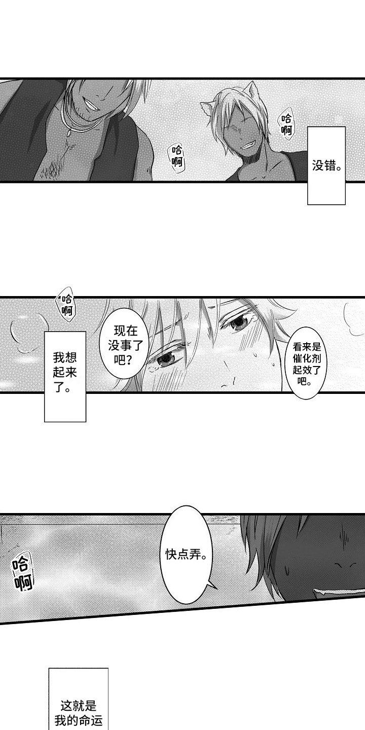 第1章：被召唤0