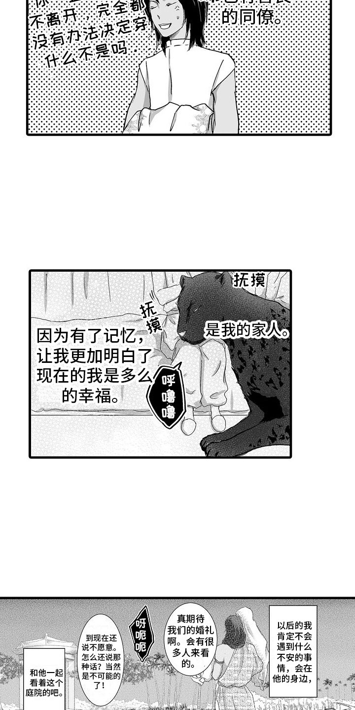 第11章：心意18
