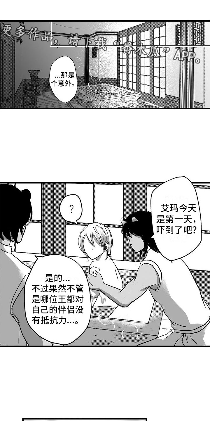第13章：不一样0