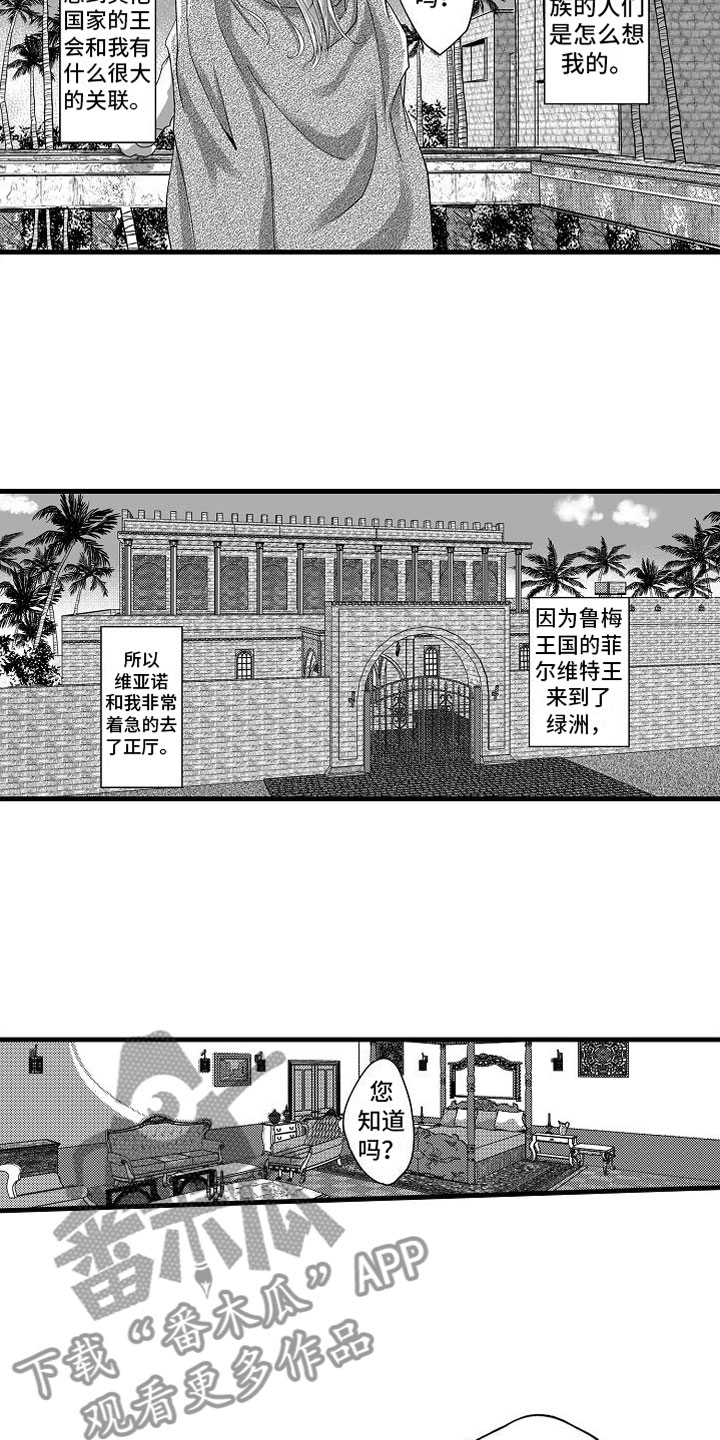 第15章：他国王子10