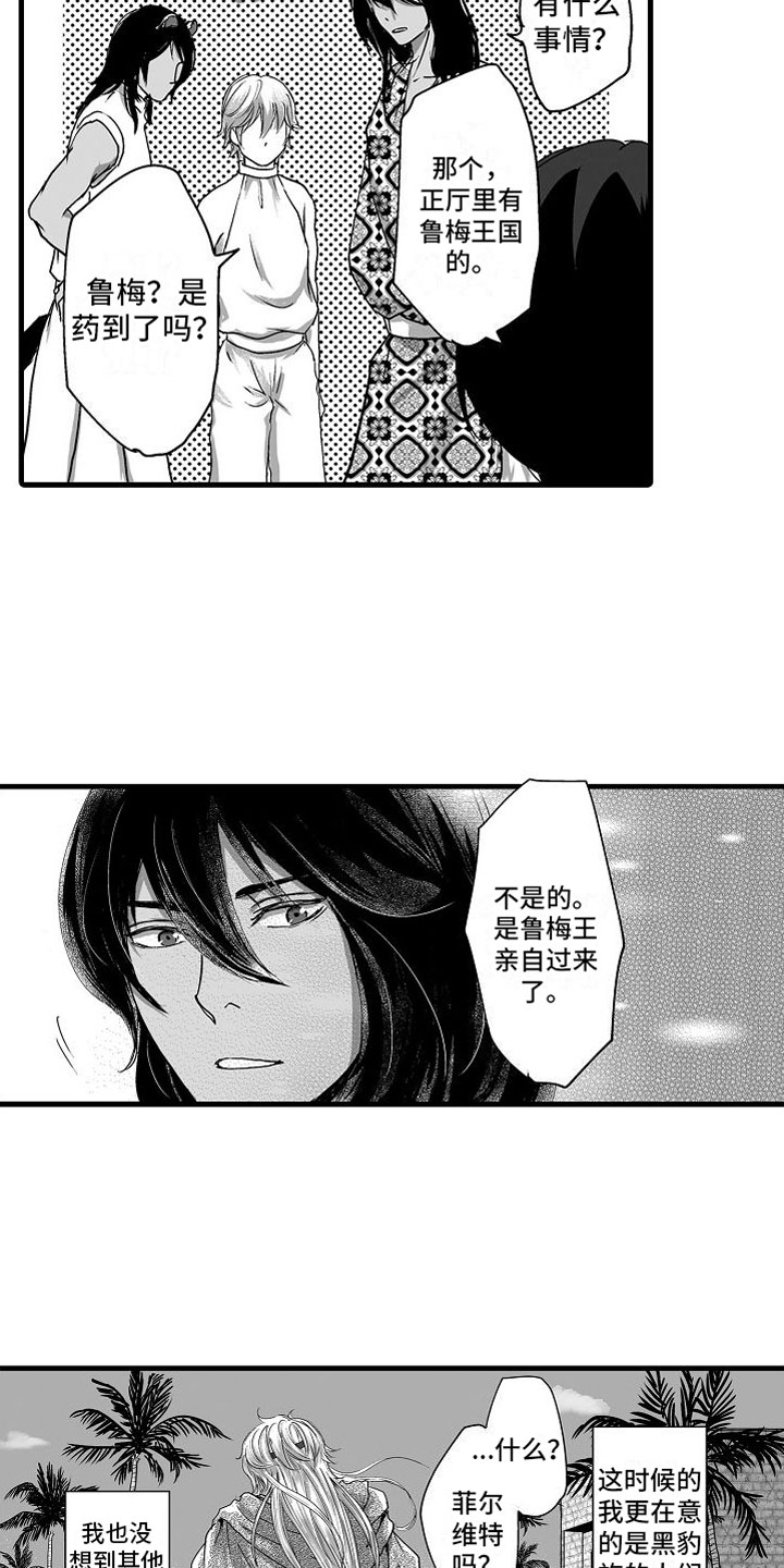 第15章：他国王子9