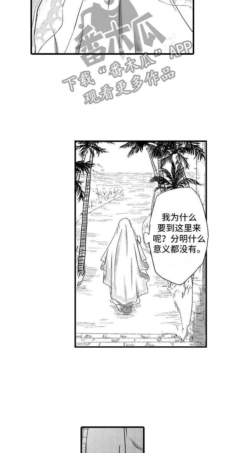 第6章： 祈求15
