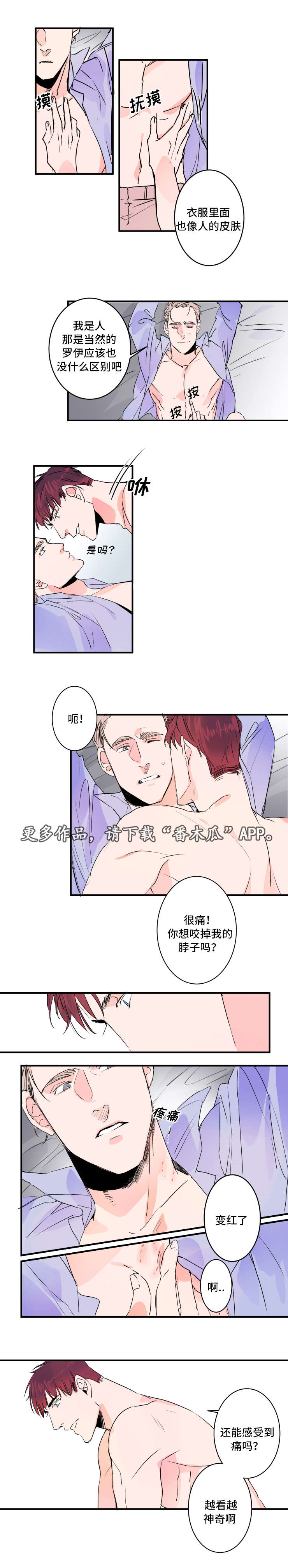 第31章：功能6
