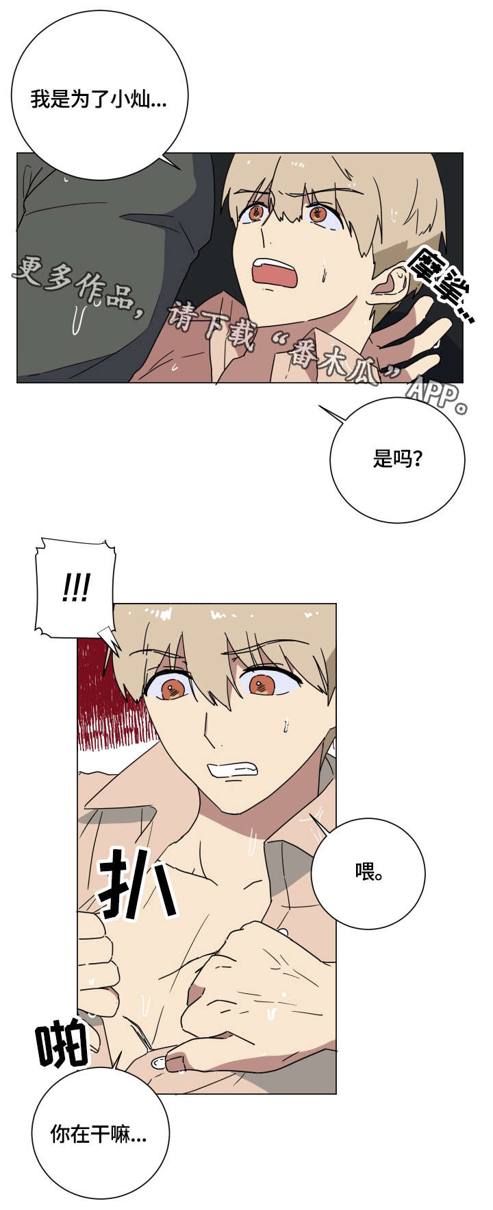 第15章：爱5