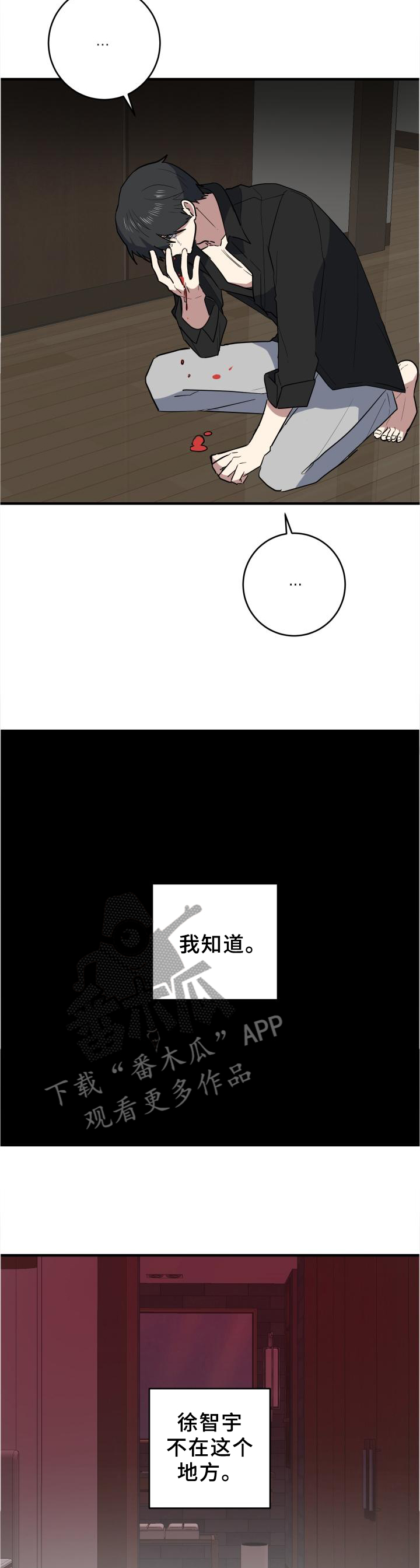 第106章：幻像9