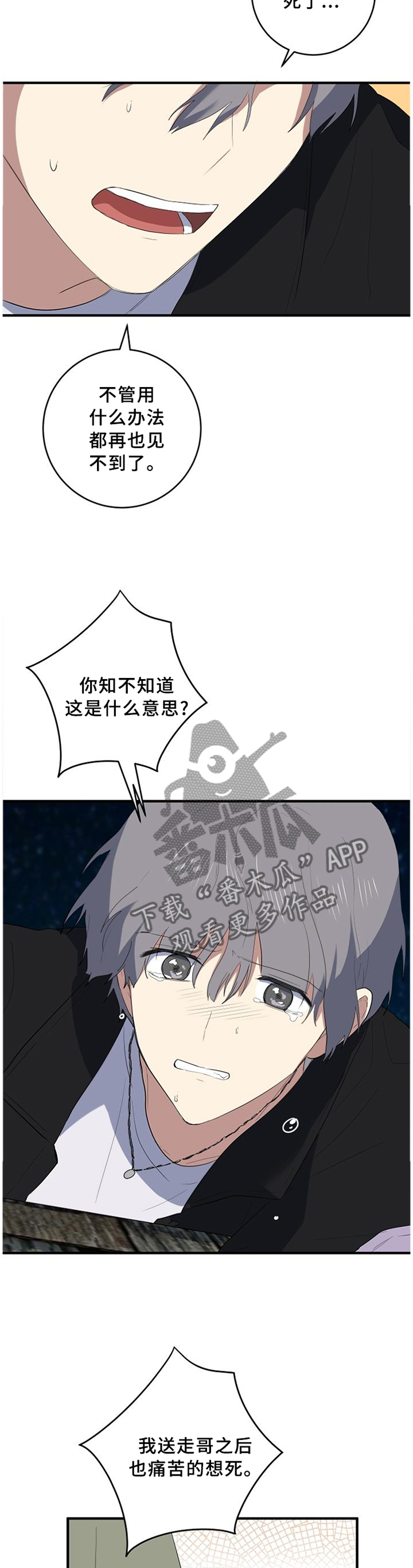 第100章：我喜欢你5