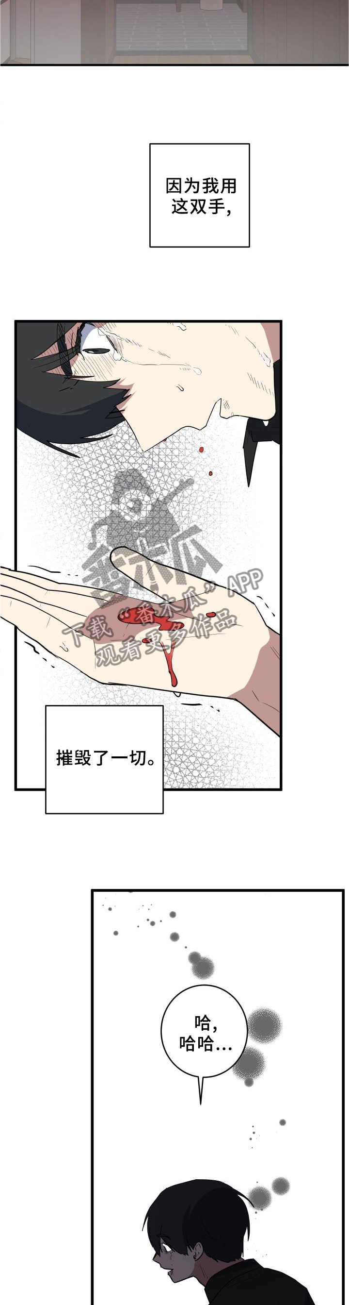 第106章：幻像10