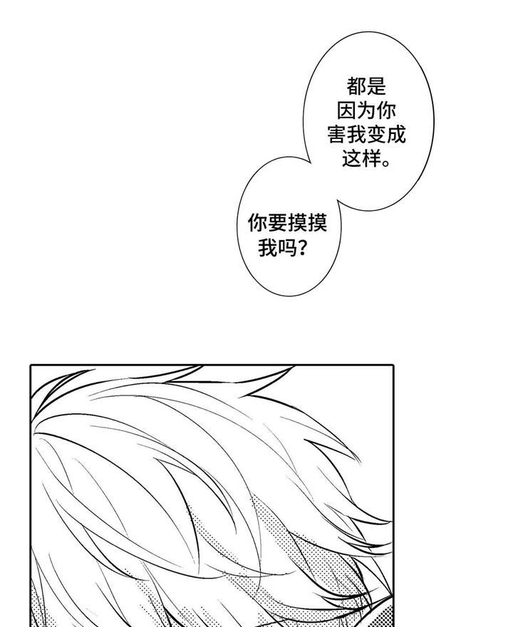 第16章：试探11