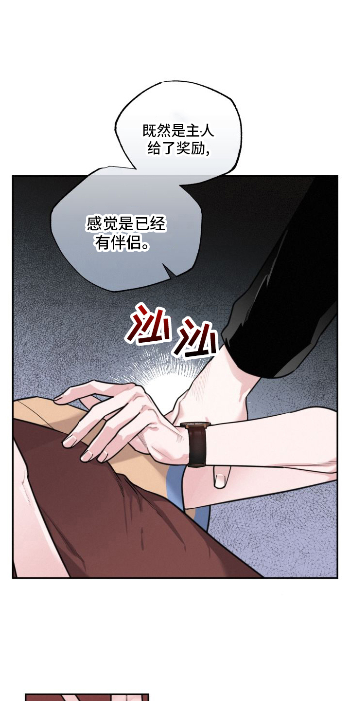 第17章：假恋爱14