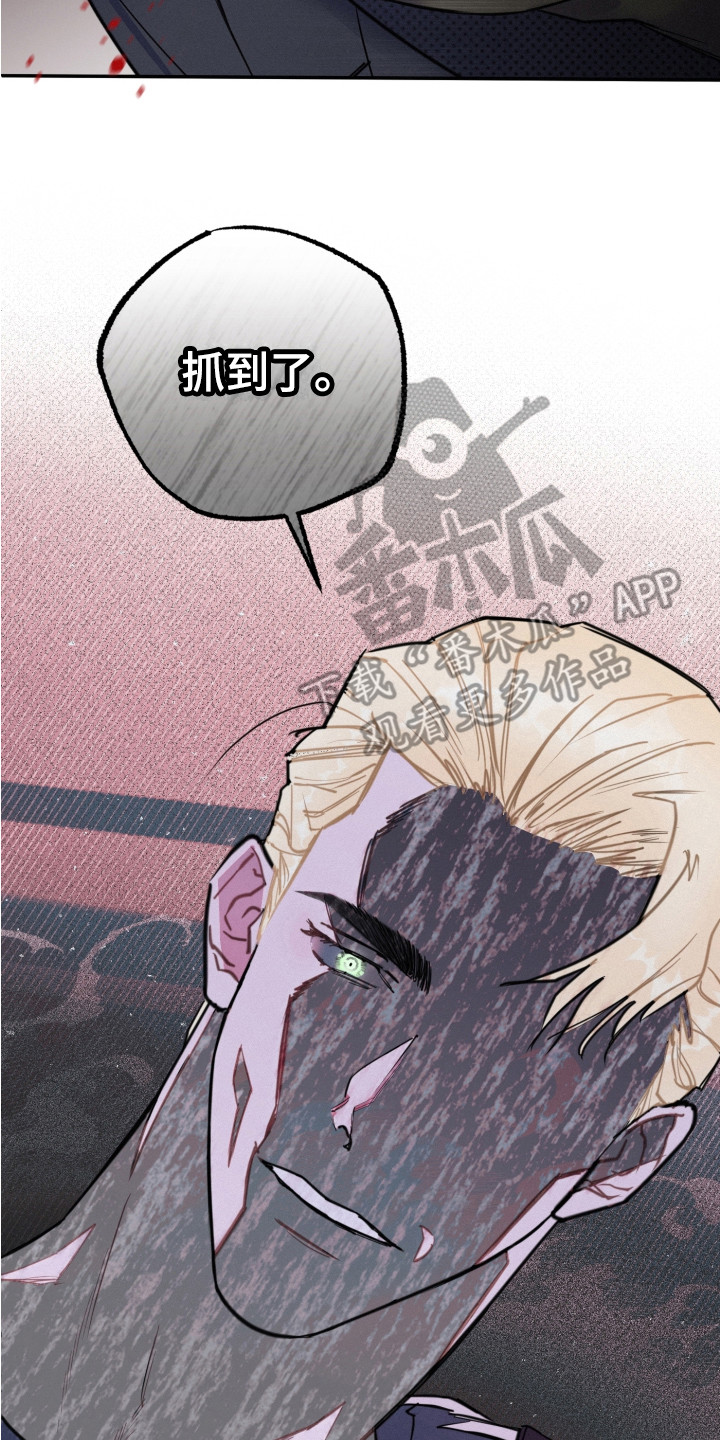 第12章：抓到了13