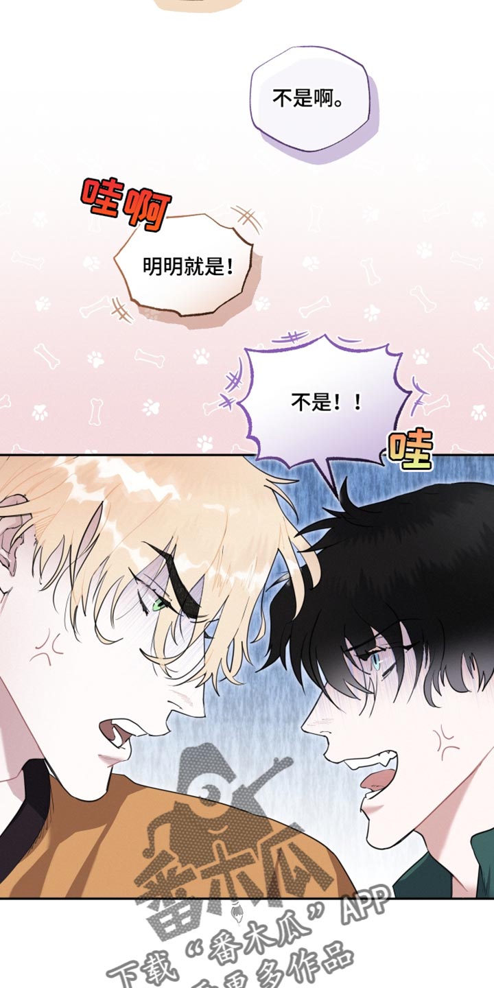 第33章：我们确认看看18