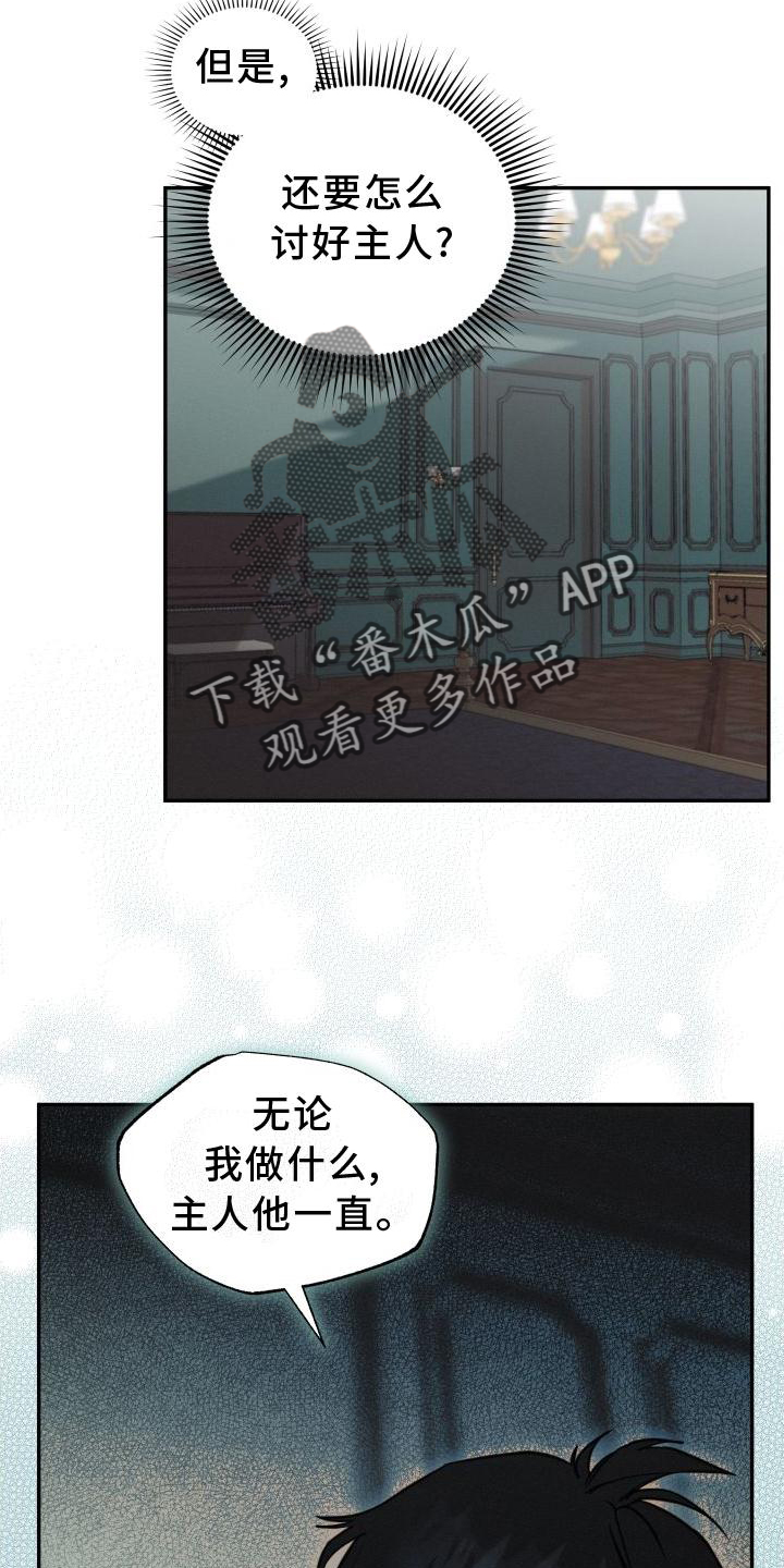 第29章：爱11