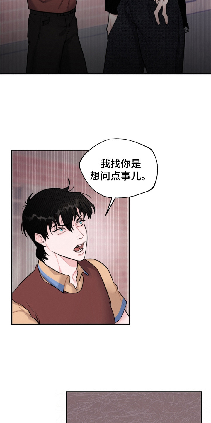 第14章：调查17