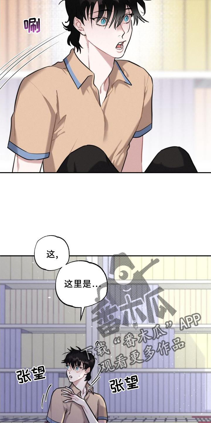 第28章：疯子3