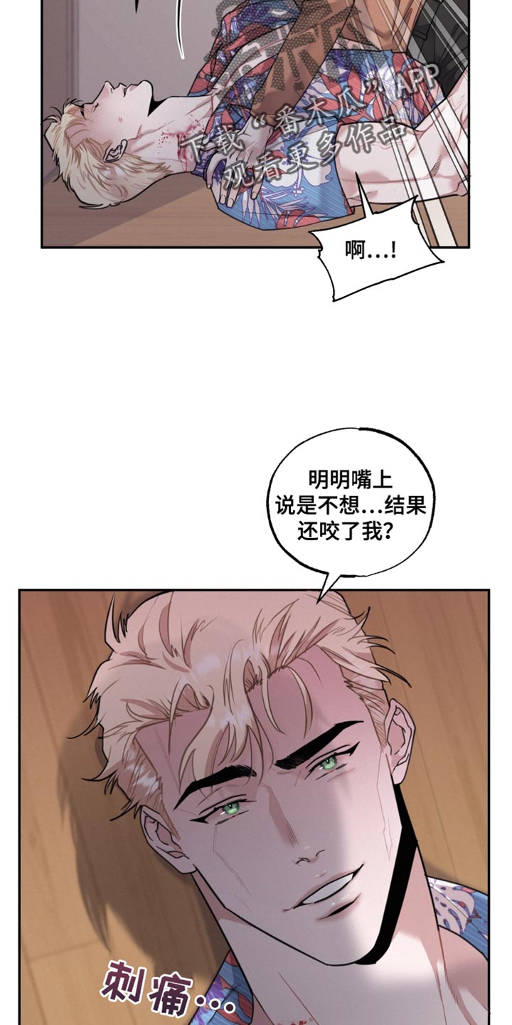 第48章：我不会再停下来了4