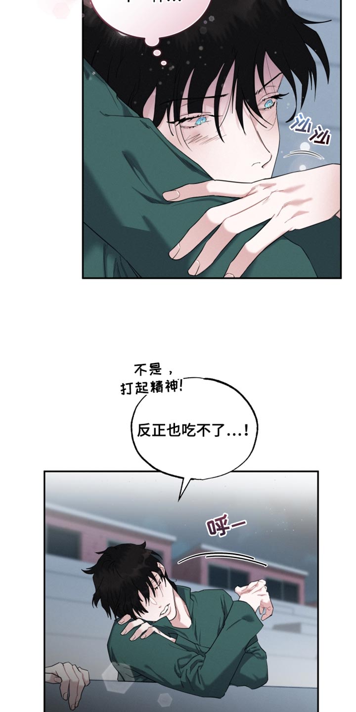 第33章：我们确认看看5