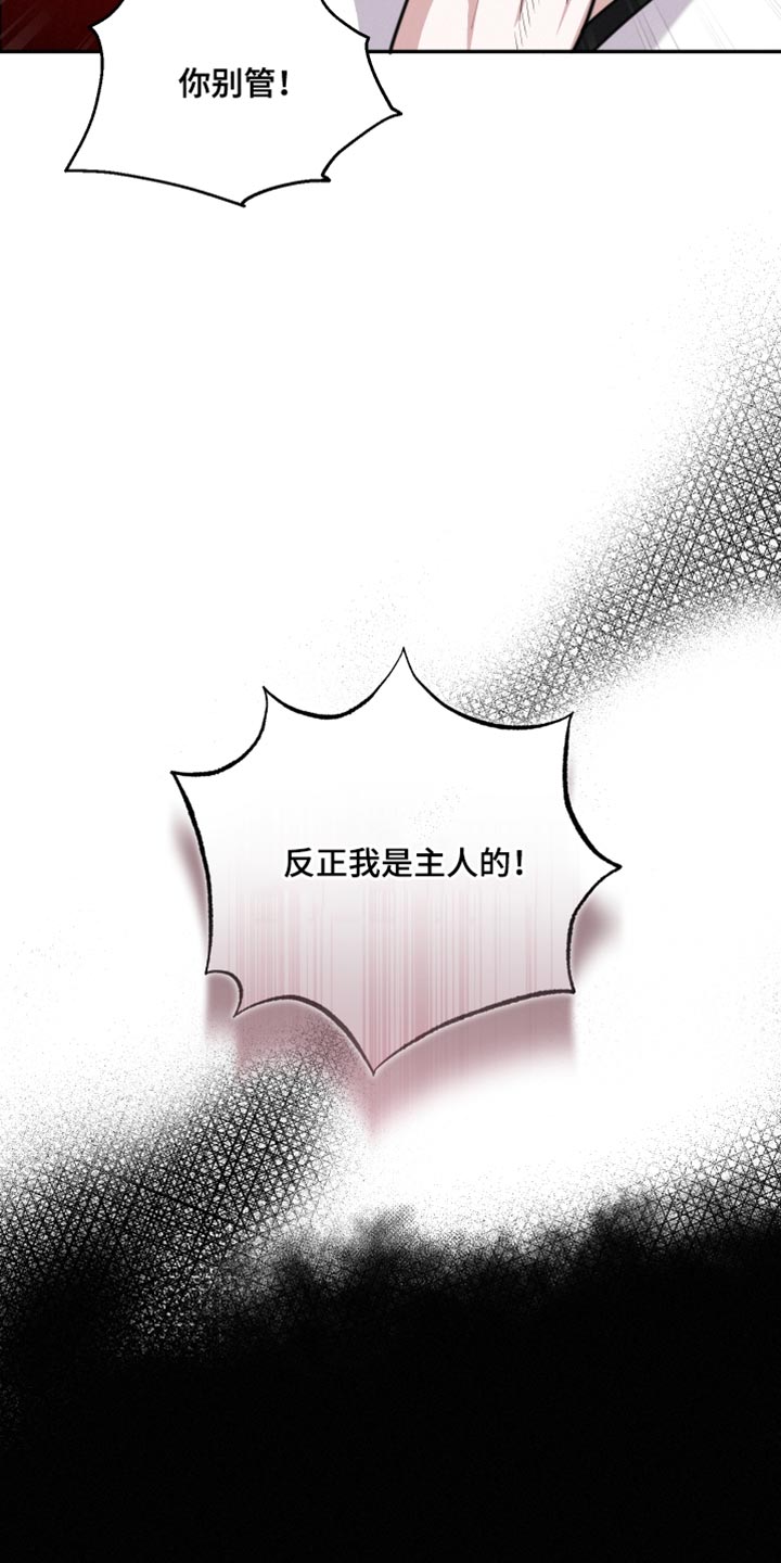 第42章：让人心软13