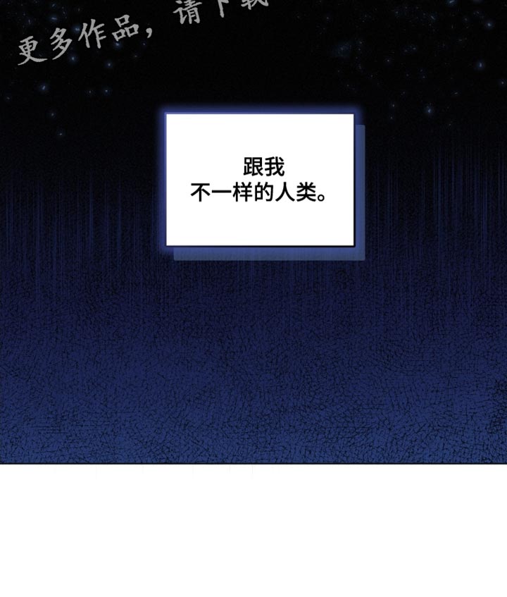 第31章：不一样的人类22