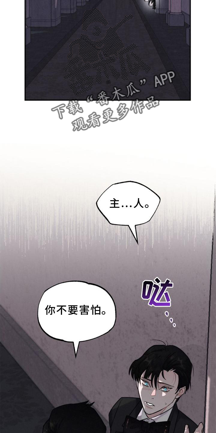 第20章：单独15