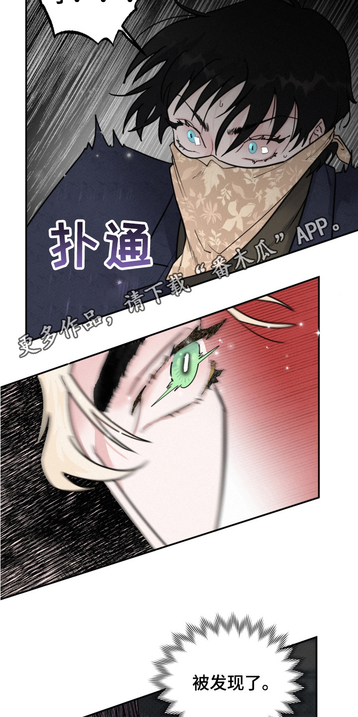 第11章：被发现10