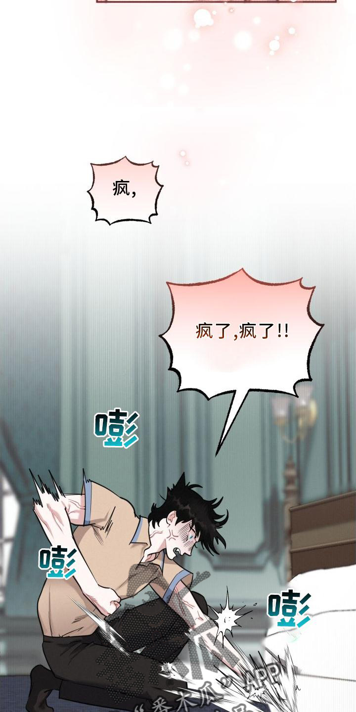 第28章：疯子21