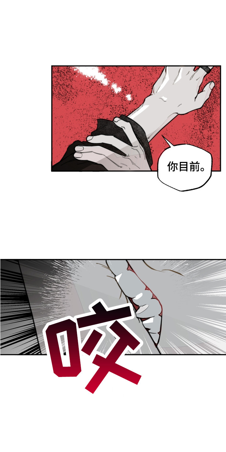 第3章：服从14