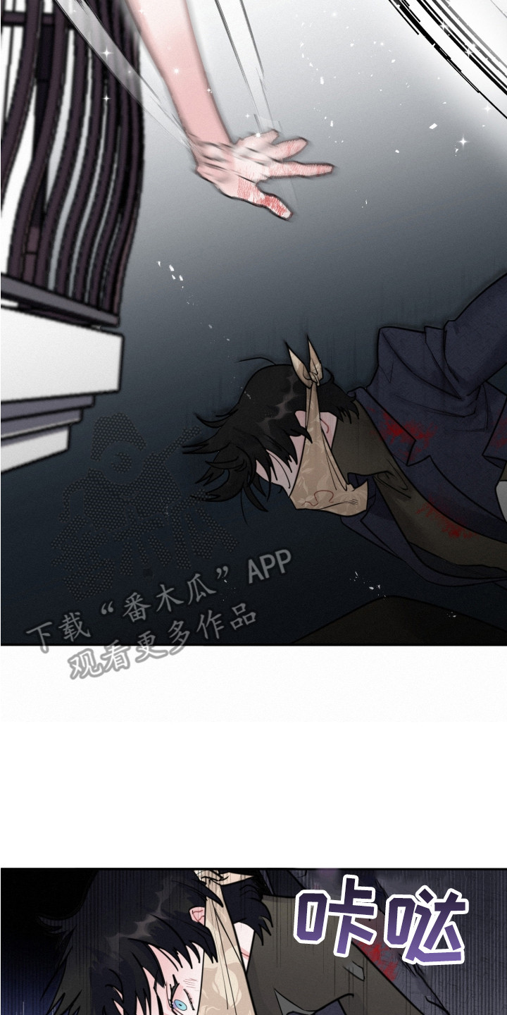第11章：被发现13