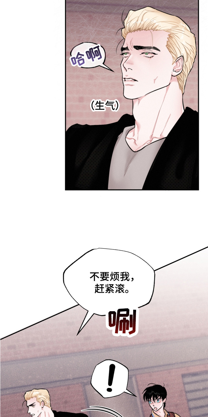 第14章：调查18