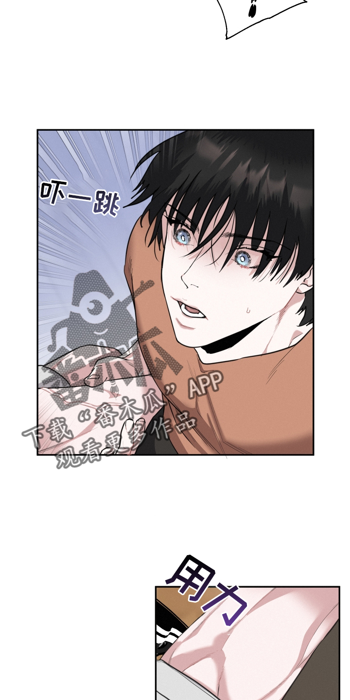 第46章：期待15