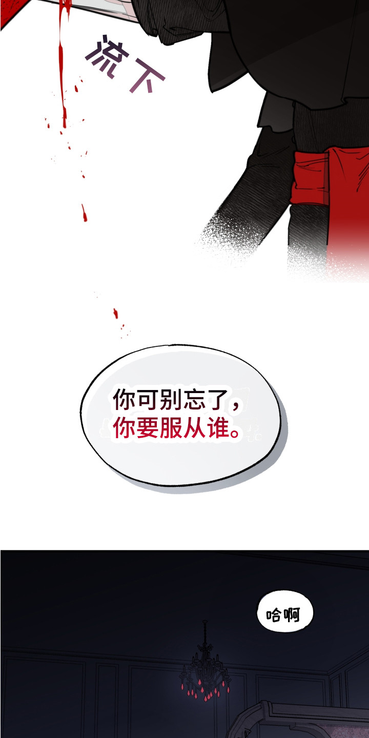 第3章：服从17