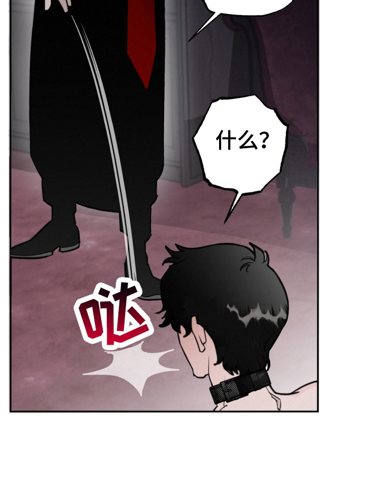 第2章：主人20
