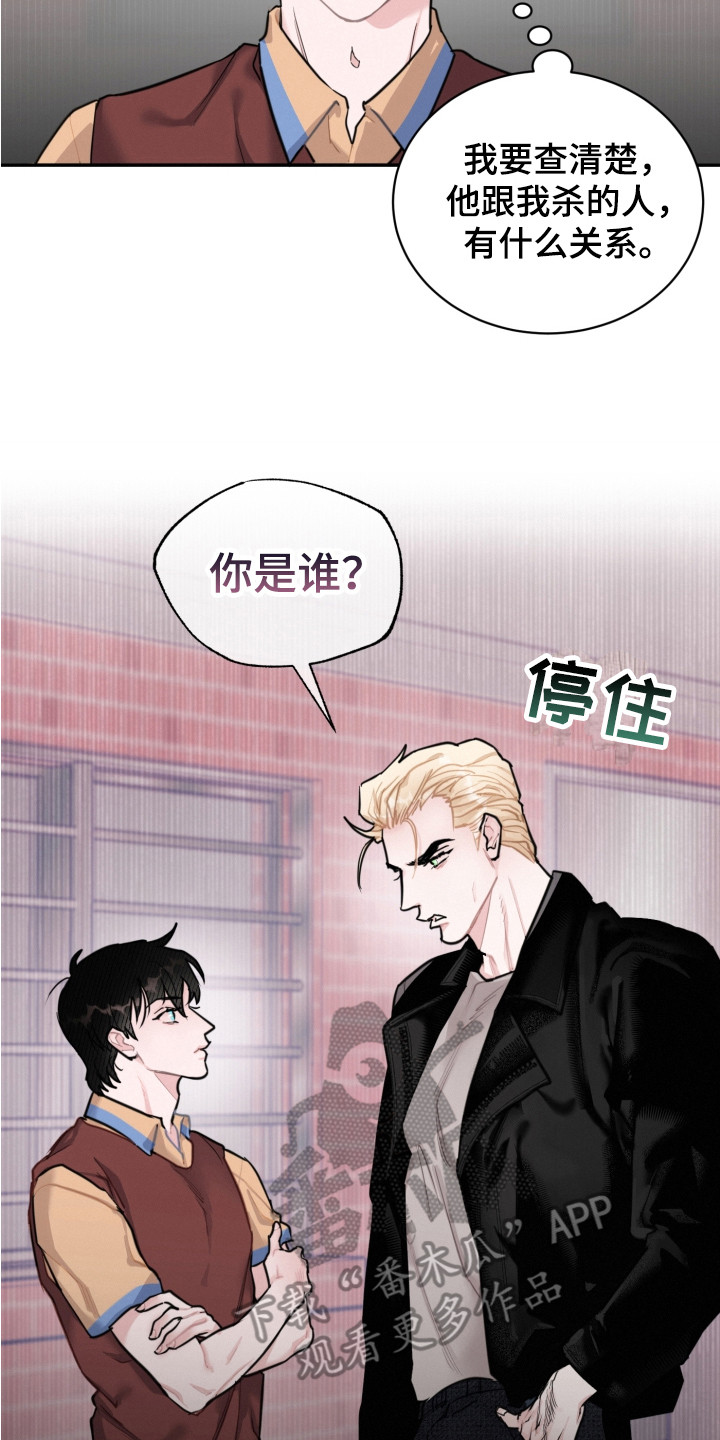 第14章：调查16