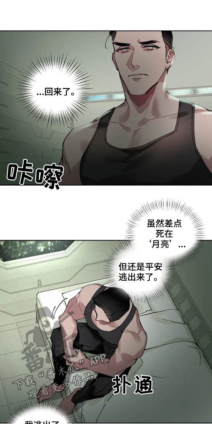 第15章：想法6