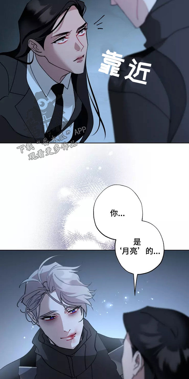 第59章：战争不会停止6