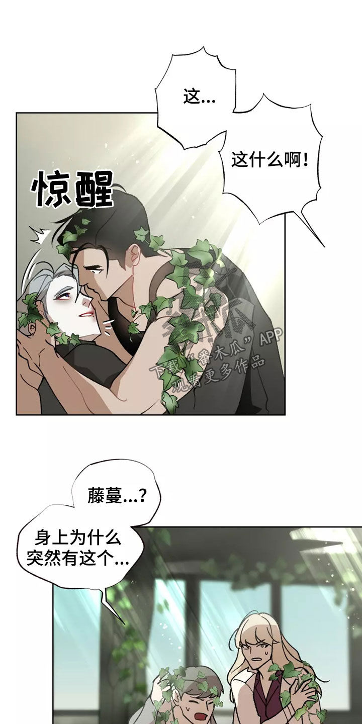 第62章：相信你16