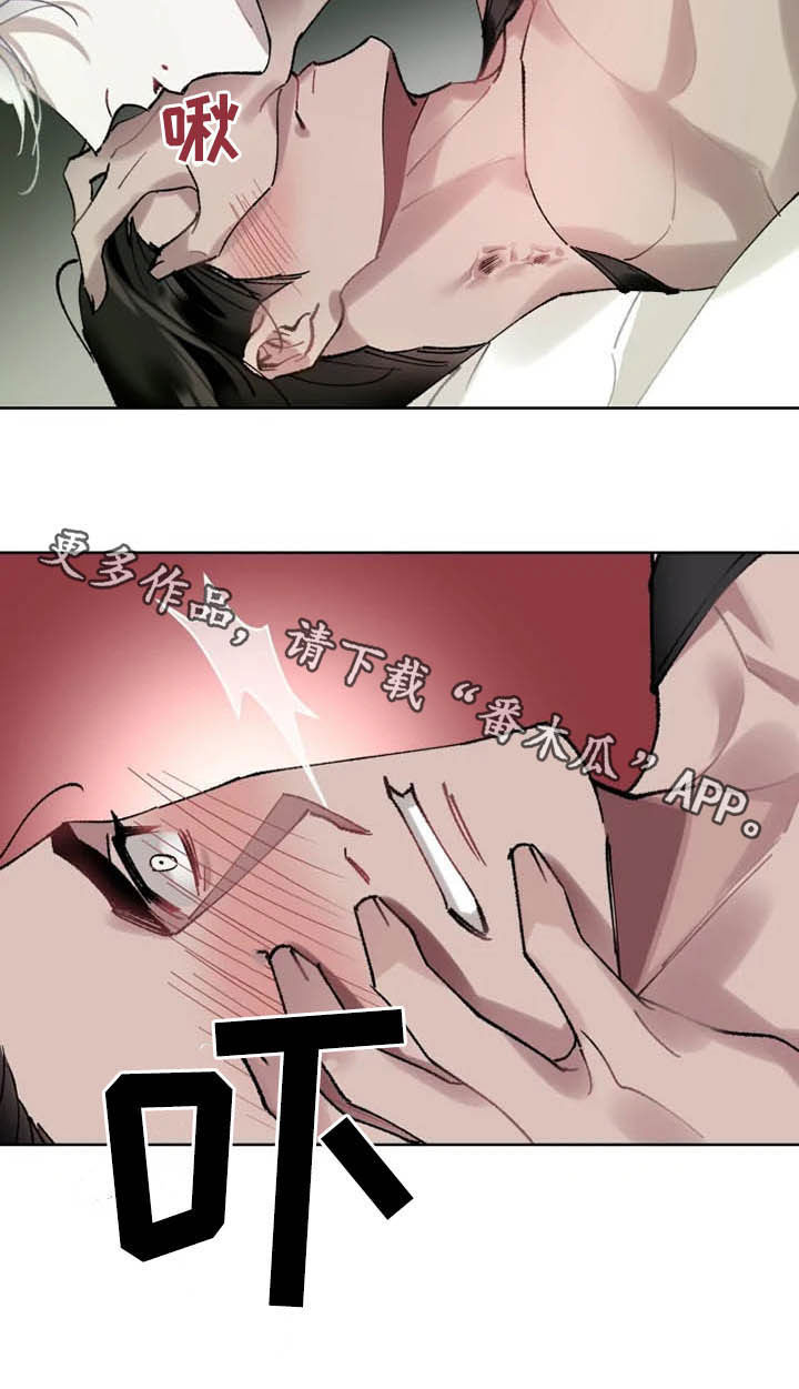 第15章：想法15