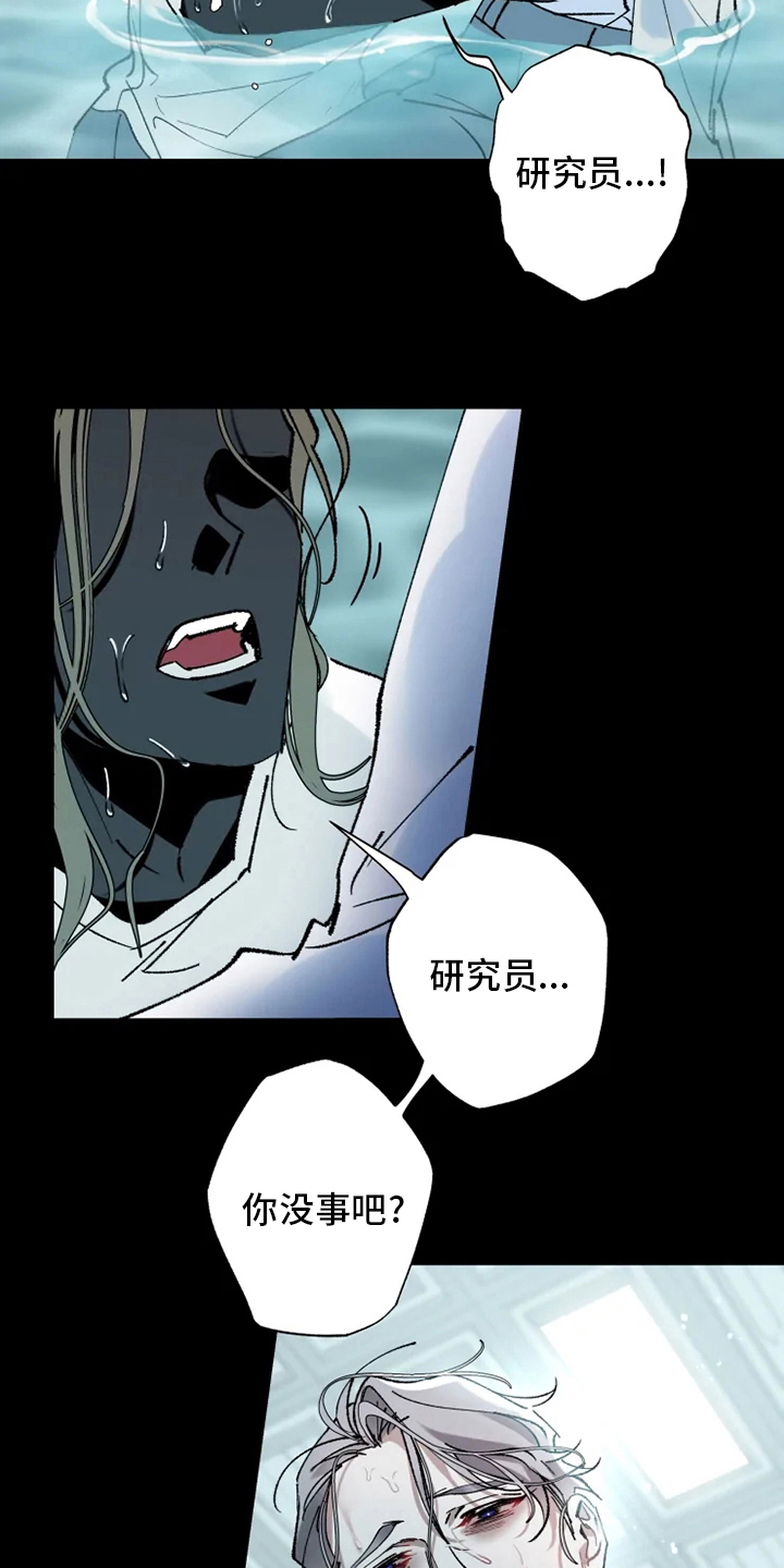 第34章：振作17