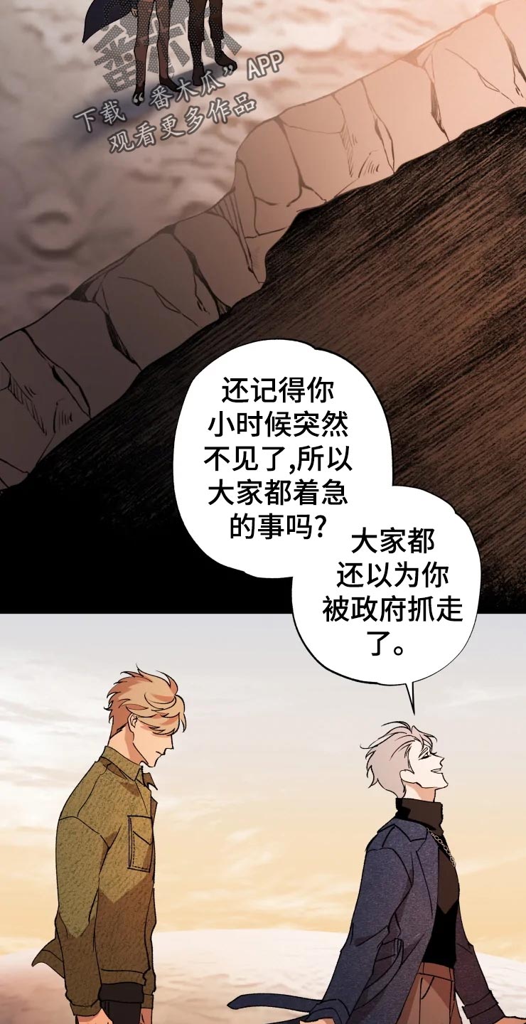 第46章：告白3