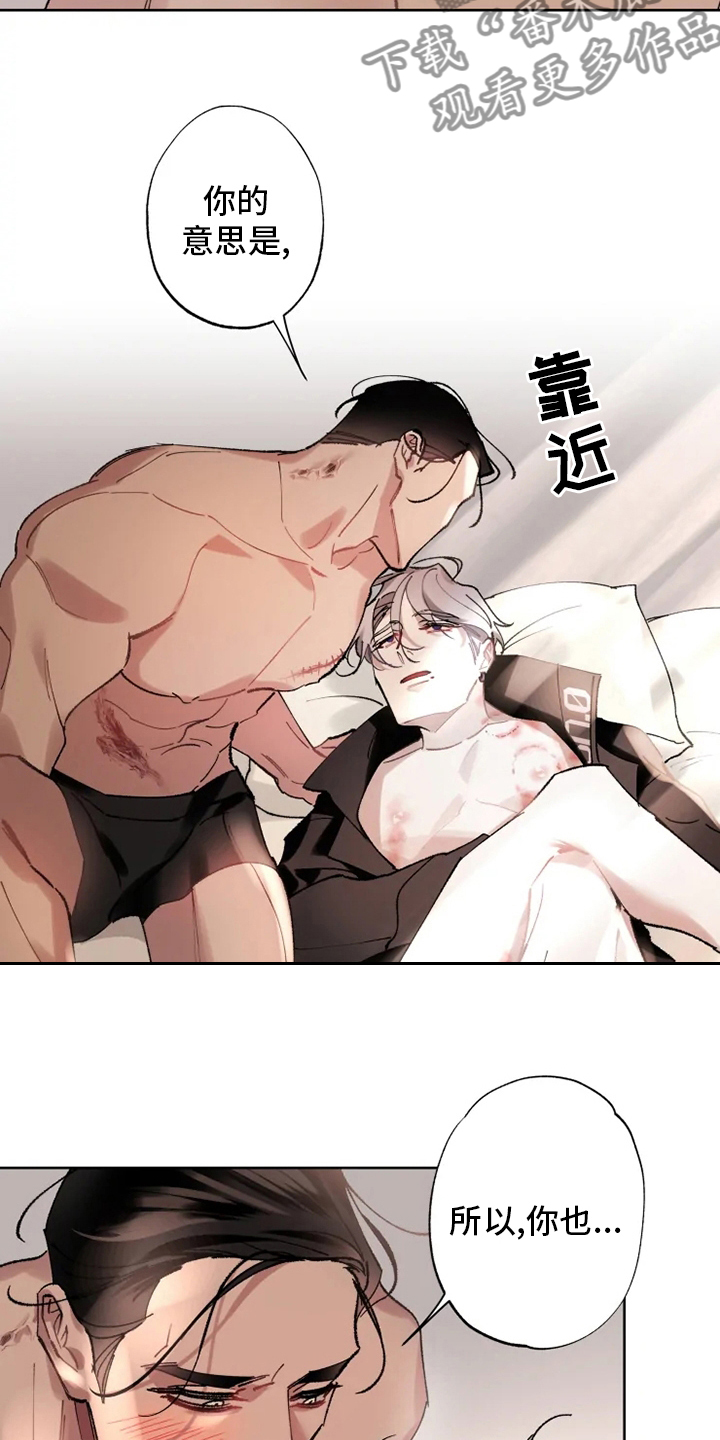 第22章：还会再见面的11