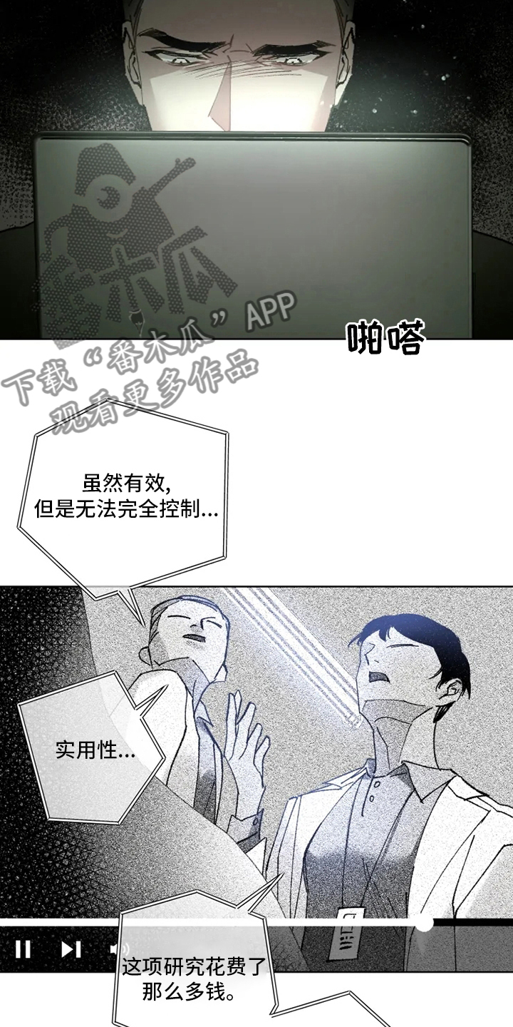 第26章：黑社会14