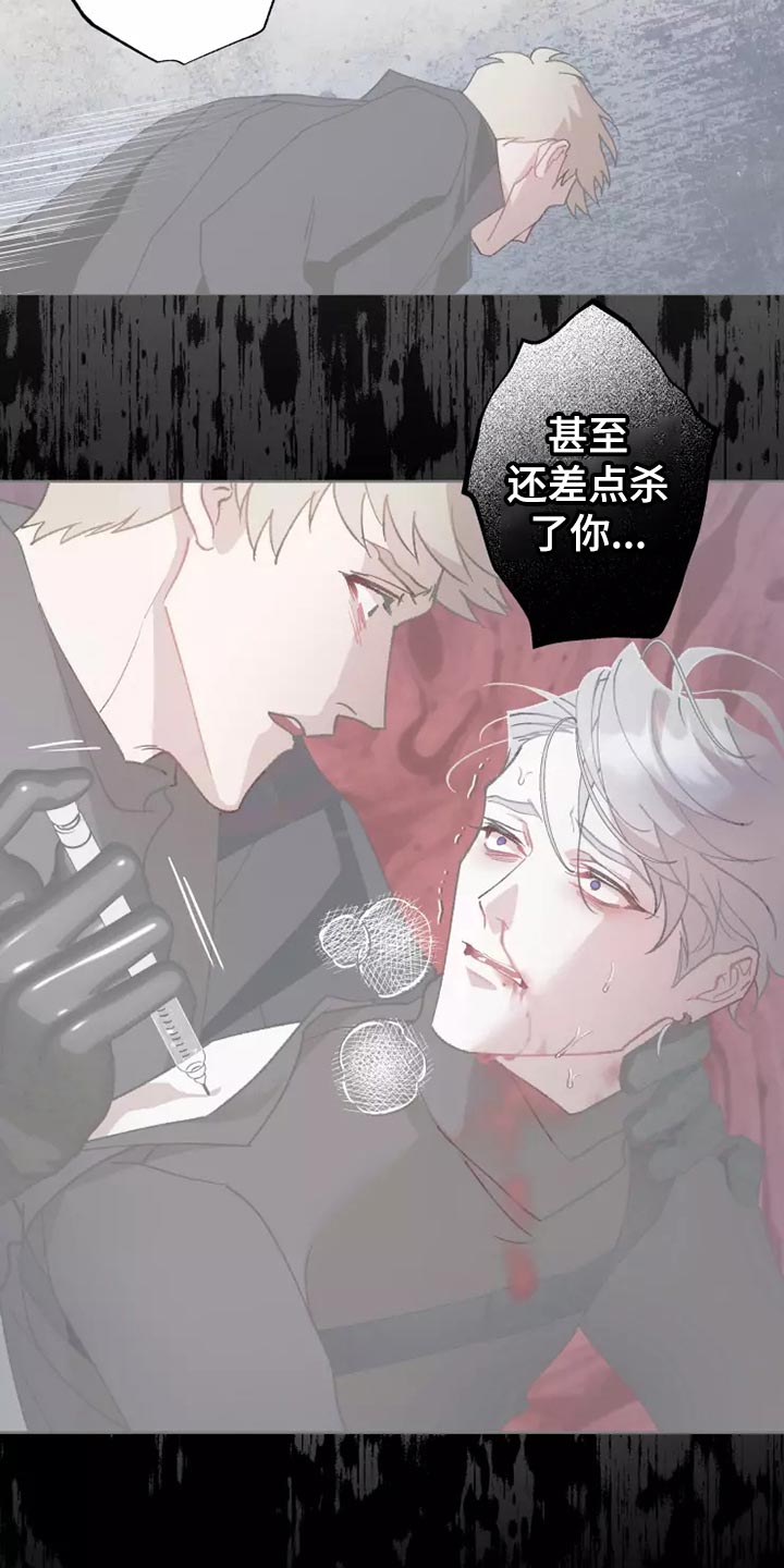 第56章：家人的意义11