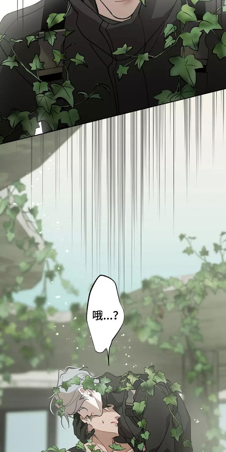 第61章：灾害化13