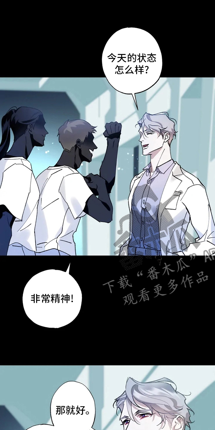 第33章：真正的现象者5
