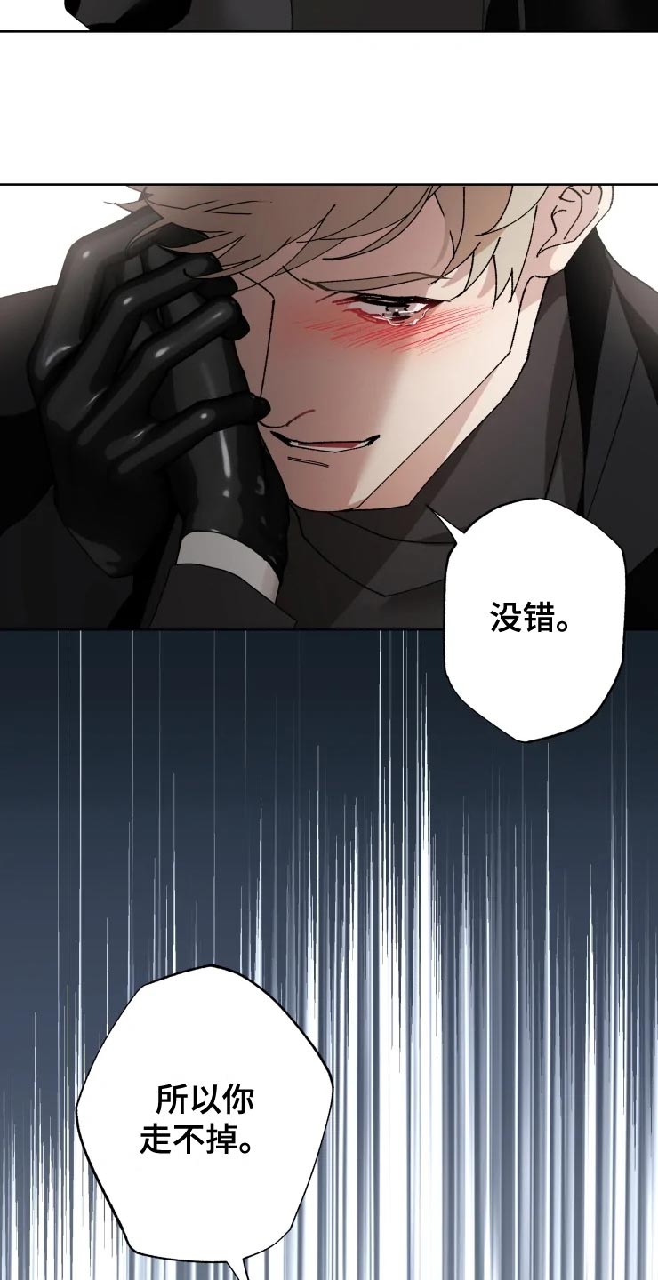 第53章：唯一的家人19